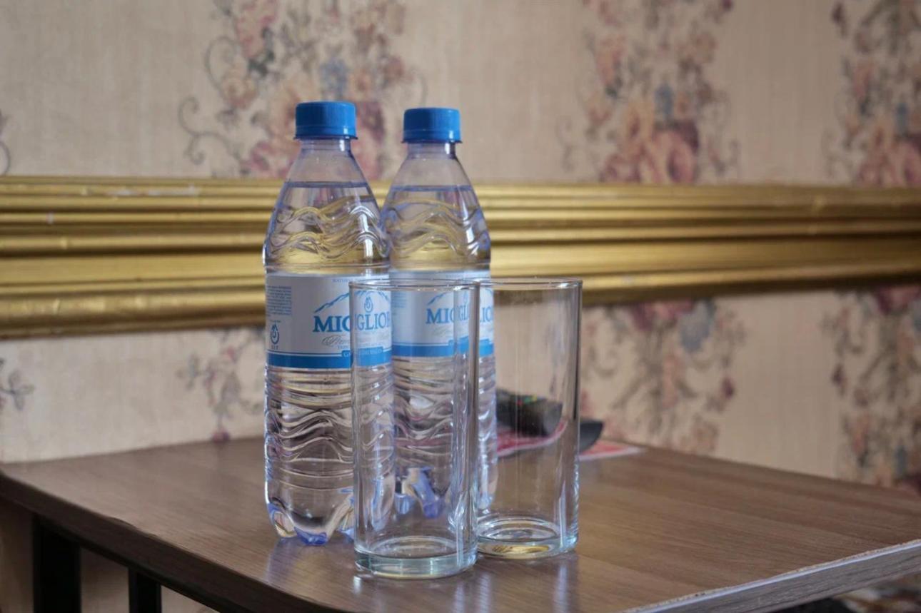 Lion Hotel アスターナ エクステリア 写真